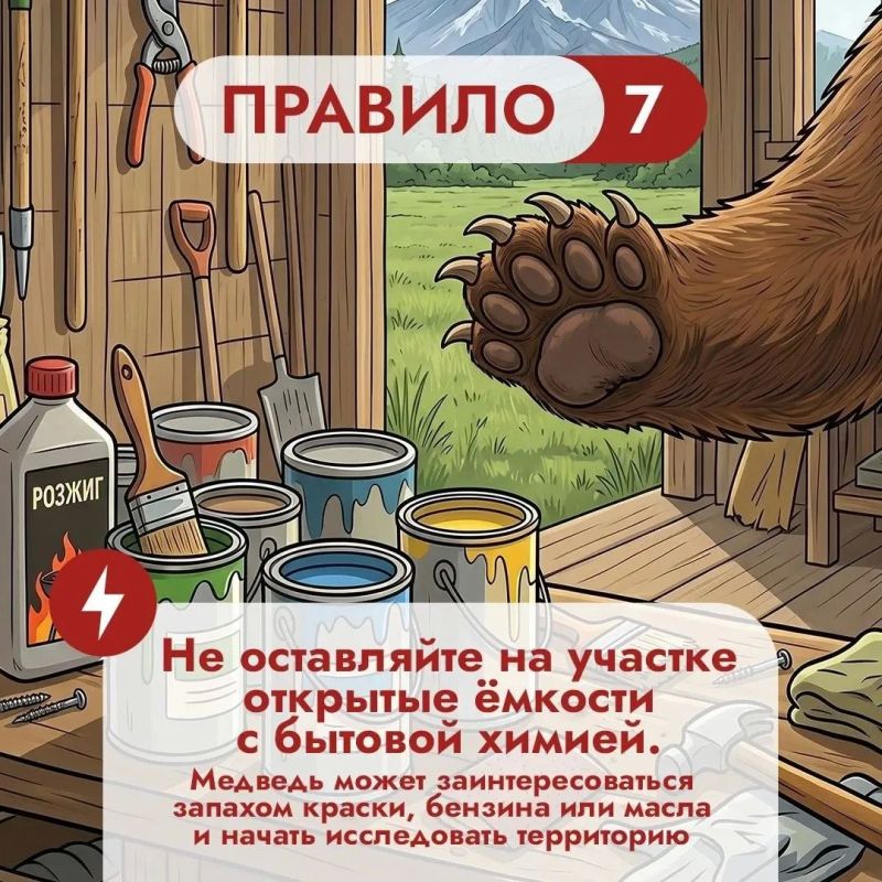Что во дворе частного дома может понравиться медведю? Что во дворе частного дома может понравиться медведю?