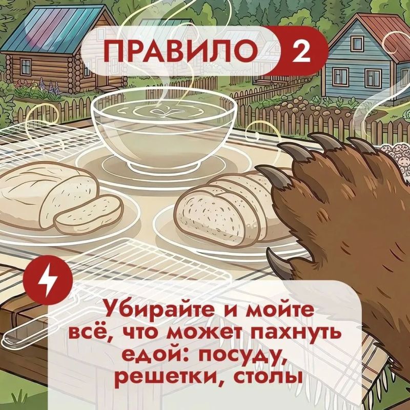 Что во дворе частного дома может понравиться медведю? Что во дворе частного дома может понравиться медведю?