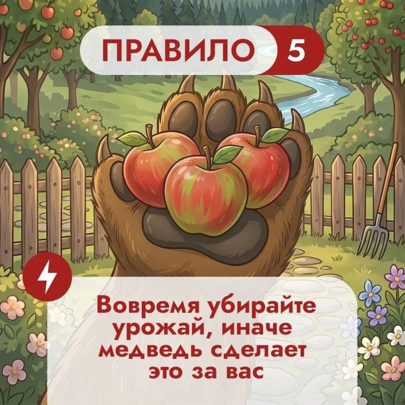 Что во дворе частного дома может понравиться медведю? Что во дворе частного дома может понравиться медведю?