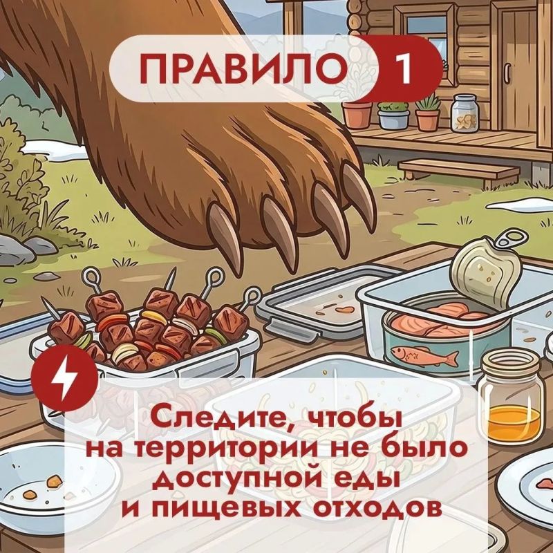 Что во дворе частного дома может понравиться медведю? Что во дворе частного дома может понравиться медведю?