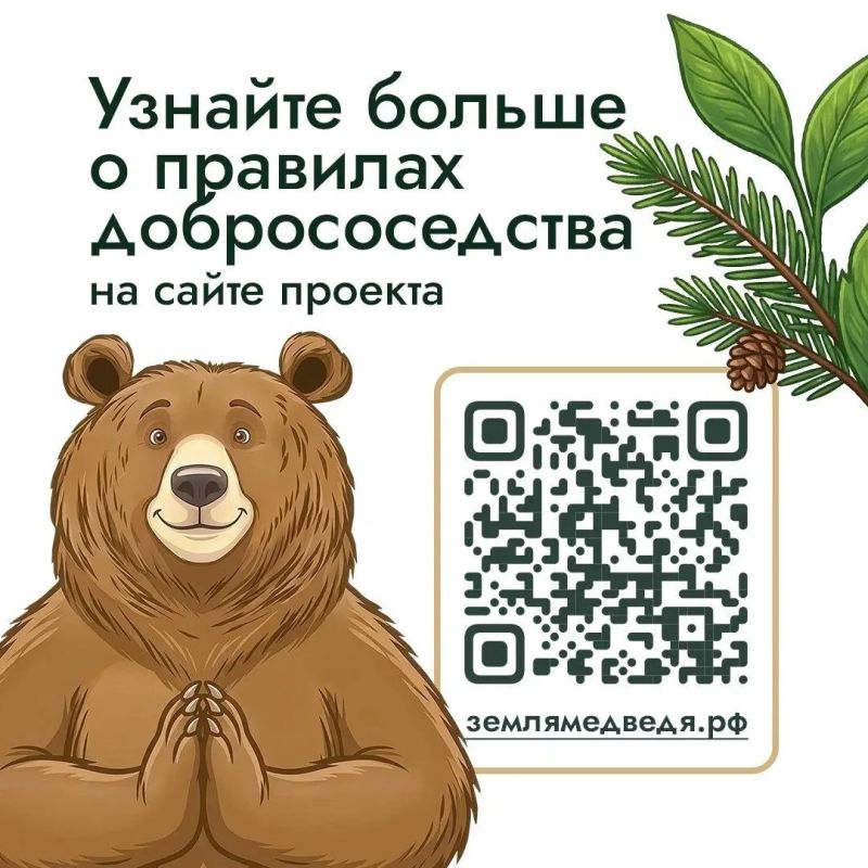 Что во дворе частного дома может понравиться медведю? Что во дворе частного дома может понравиться медведю?