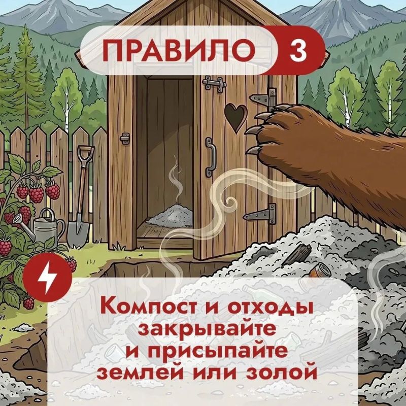 Что во дворе частного дома может понравиться медведю? Что во дворе частного дома может понравиться медведю?