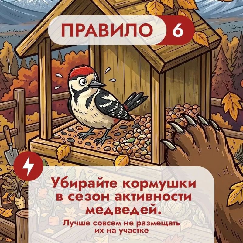 Что во дворе частного дома может понравиться медведю? Что во дворе частного дома может понравиться медведю?