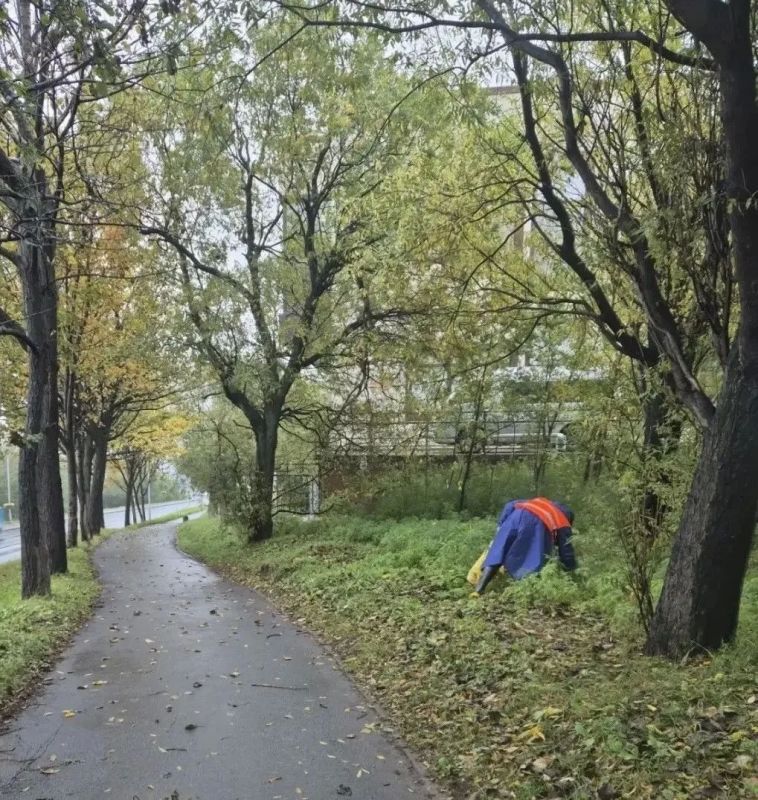 Город день за днем. 2 октября 2026 года Городские территории приводят в порядок в течение всего дня Город день за днем. 2 октября 2026 года Городские территории приводят в порядок в течение всего дня