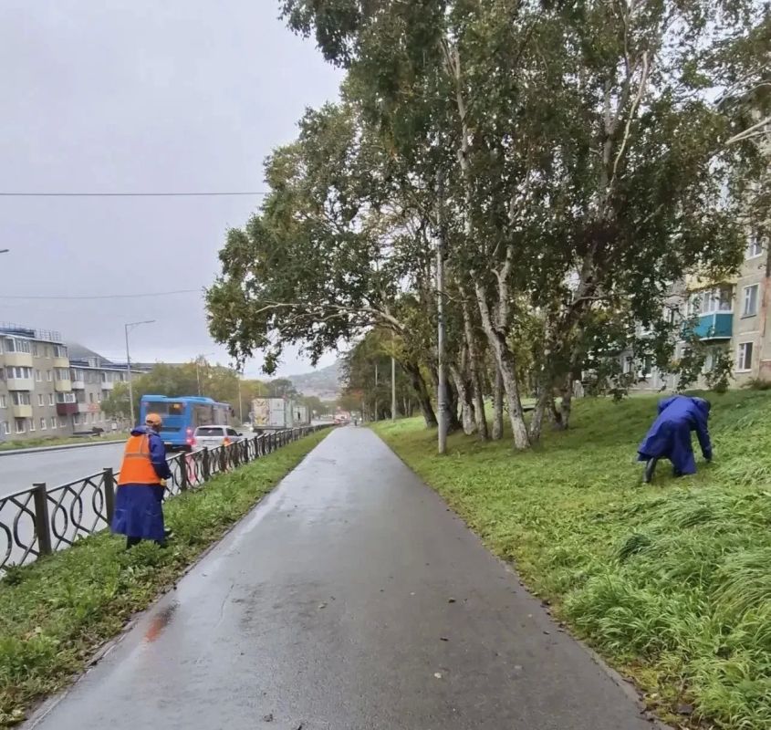 Город день за днем. 2 октября 2026 года Городские территории приводят в порядок в течение всего дня Город день за днем. 2 октября 2026 года Городские территории приводят в порядок в течение всего дня