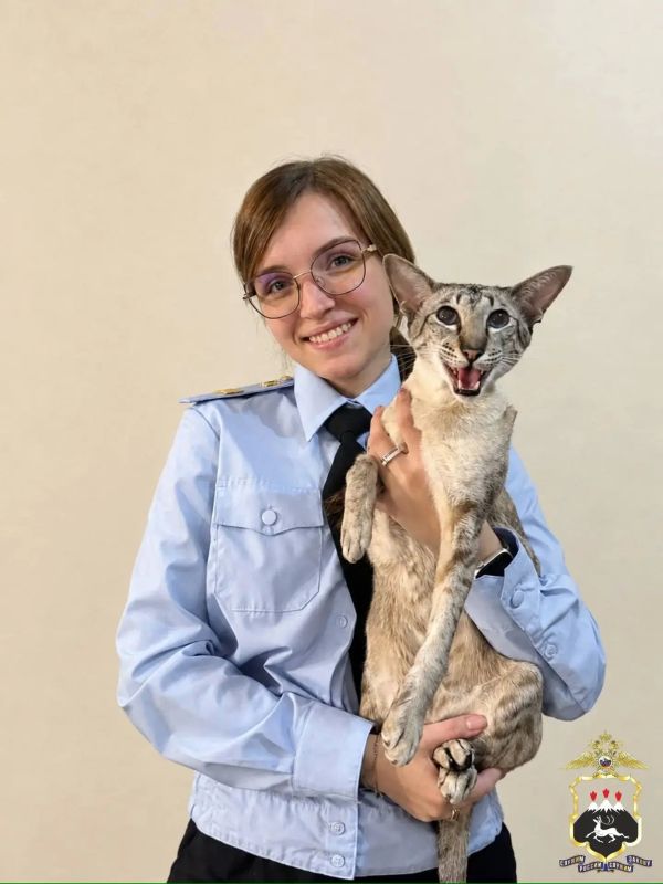 Те, кто ждёт дома: камчатские полицейские поделились фотографиями своих питомцев Те, кто ждёт дома: камчатские полицейские поделились фотографиями своих питомцев