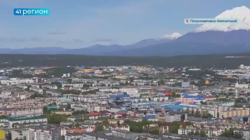 Сообщения о выходах медведей в Петропавловске отрабатываются круглосуточно