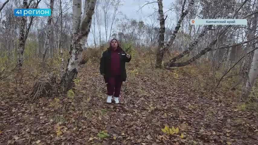 На Камчатке пятый месяц продолжаются поиски без вести пропавшей пенсионерки
