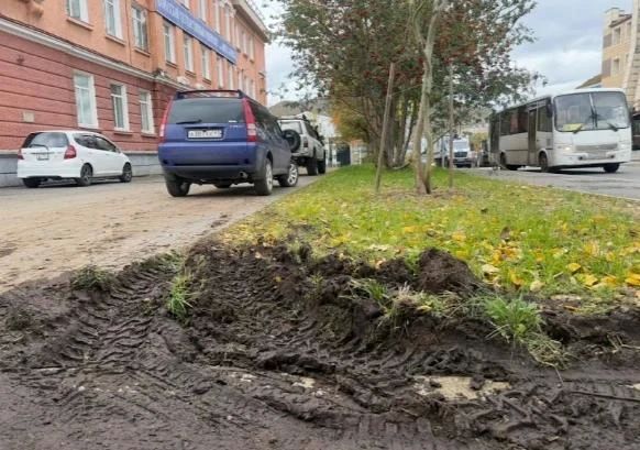 Паркуются на газонах: в Петропавловске к нарушителям применят жесткие меры Паркуются на газонах: в Петропавловске к нарушителям применят жесткие меры