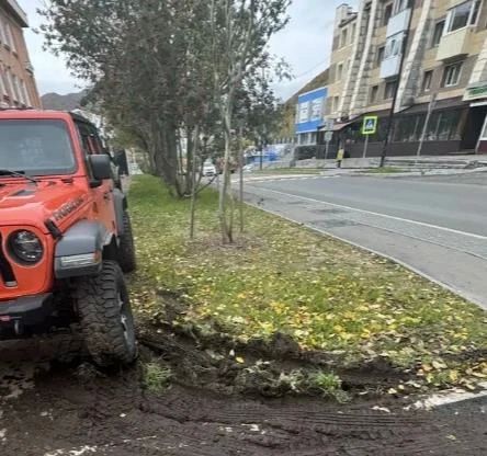 Паркуются на газонах: в Петропавловске к нарушителям применят жесткие меры Паркуются на газонах: в Петропавловске к нарушителям применят жесткие меры