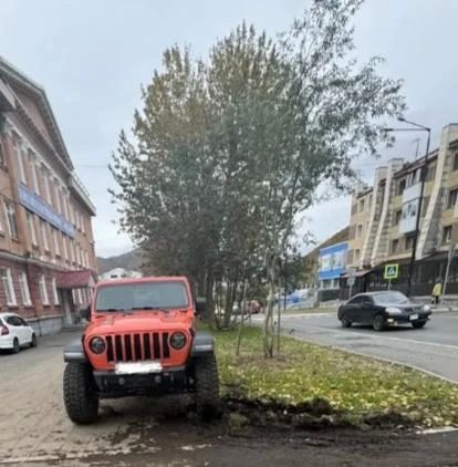 Паркуются на газонах: в Петропавловске к нарушителям применят жесткие меры