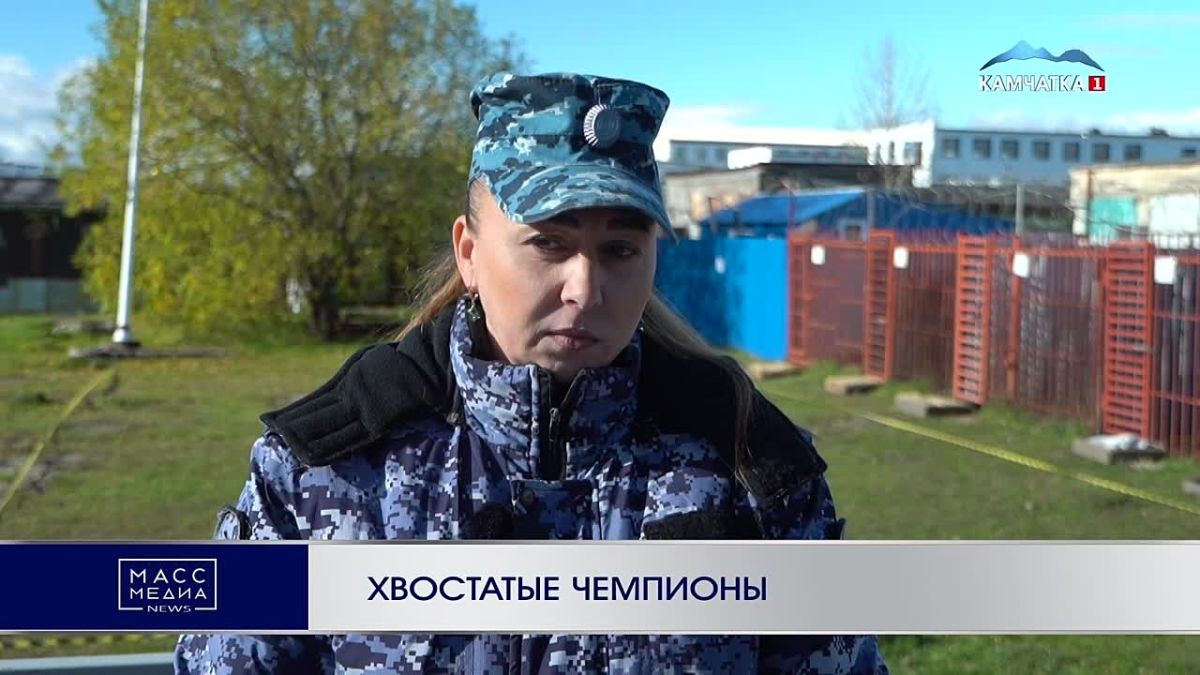 ХВОСТАТЫЕ ЧЕМПИОНЫ. Понимать друг друга с полуслова, а иногда и вовсе без слов