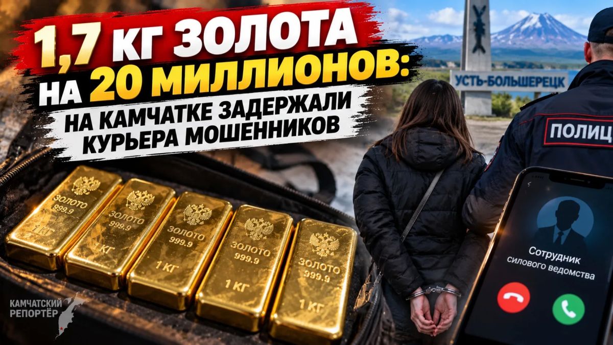 1,7 кг золота на 20 миллионов: на Камчатке задержали курьера мошенников из Подмосковья