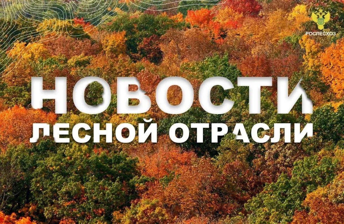 Московский Комсомолец Тюмень: В Тюменской области в рамках нацпроекта восстанавливают леса
