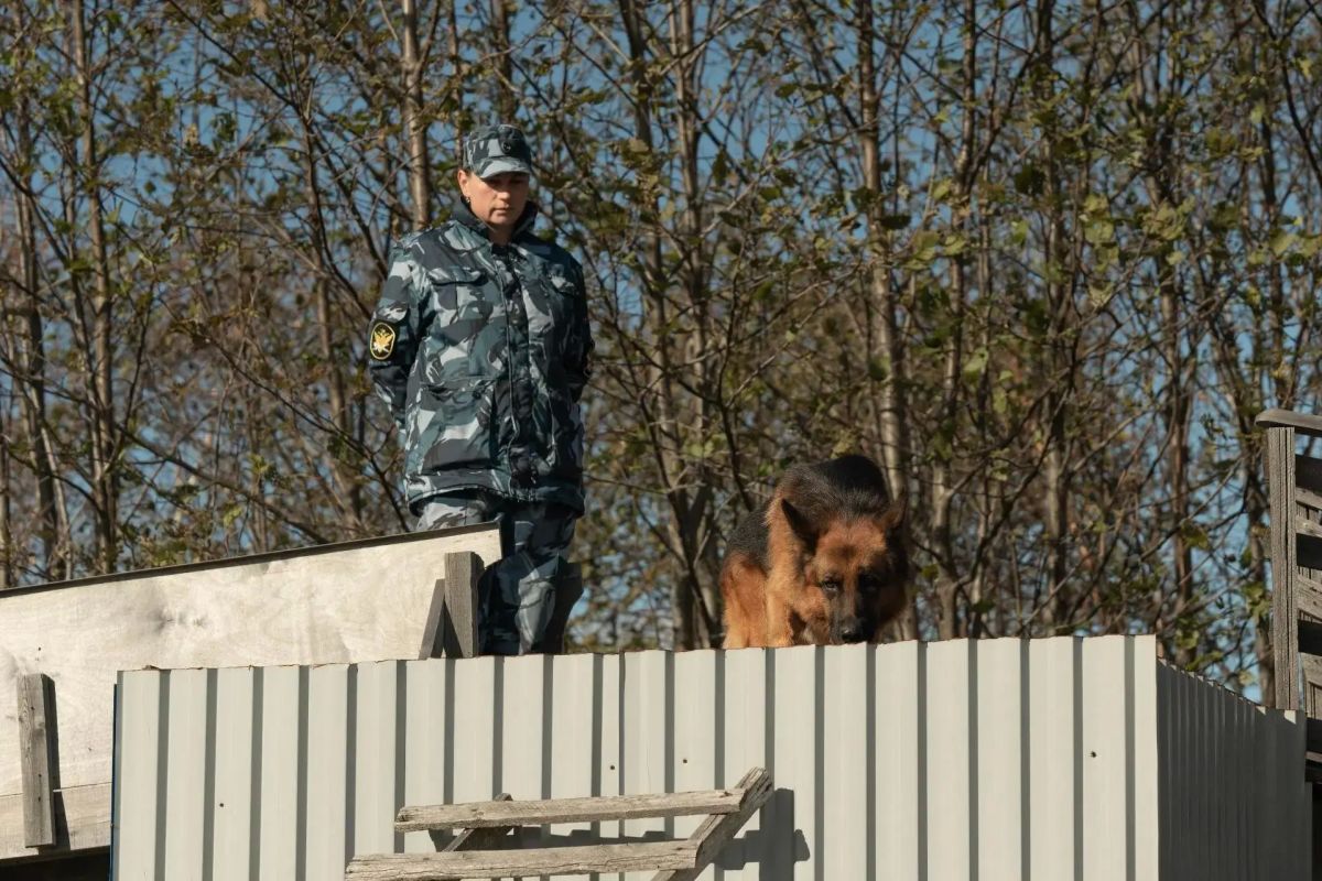На Камчатке выбрали лучших кинологов и их четвероногих напарников
