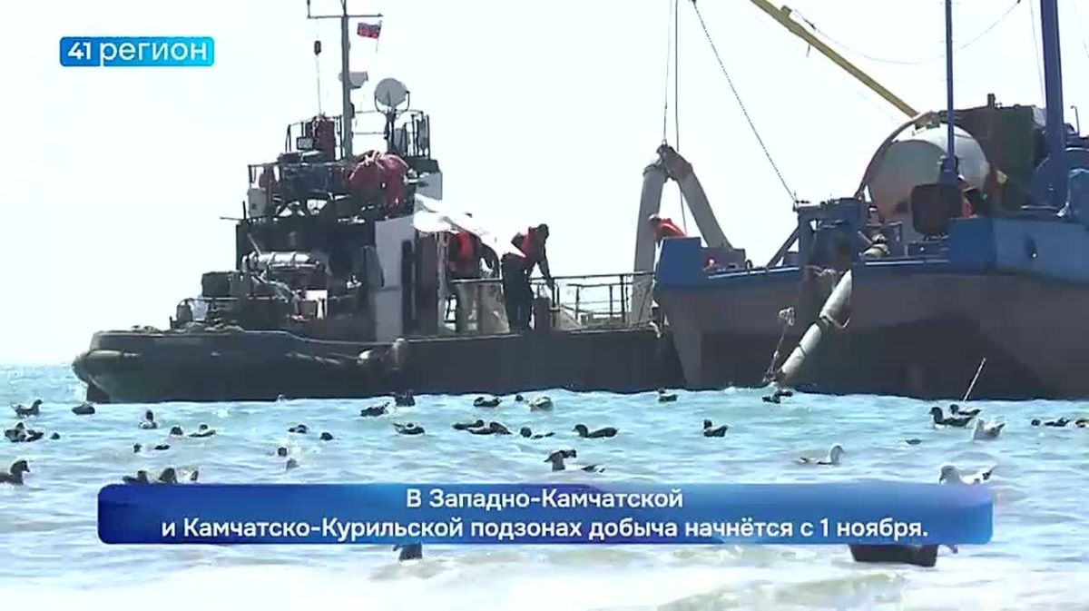Почти 4 миллиона тонн рыбы добыли российские рыбаки с начала года