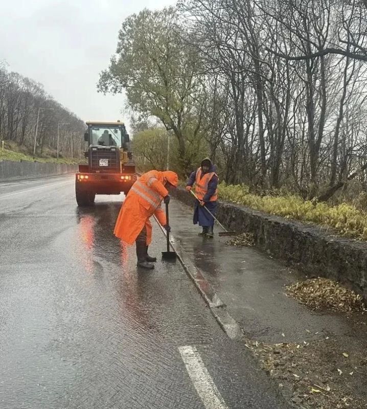Петропавловск-Камчатский — под влиянием циклона Петропавловск-Камчатский — под влиянием циклона