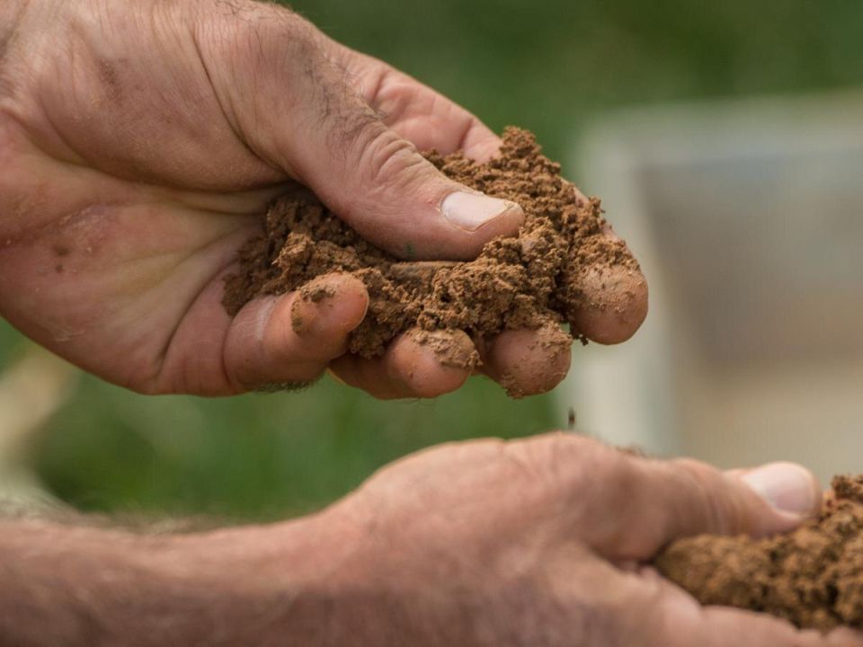 ��� ���������� ���������� ����� � ��������: ������������ ������ ��������