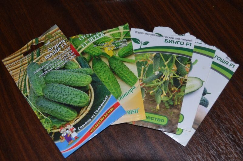 ������������ ������: ����� ��������� ����� ��� ������ ������� � 2025 ����