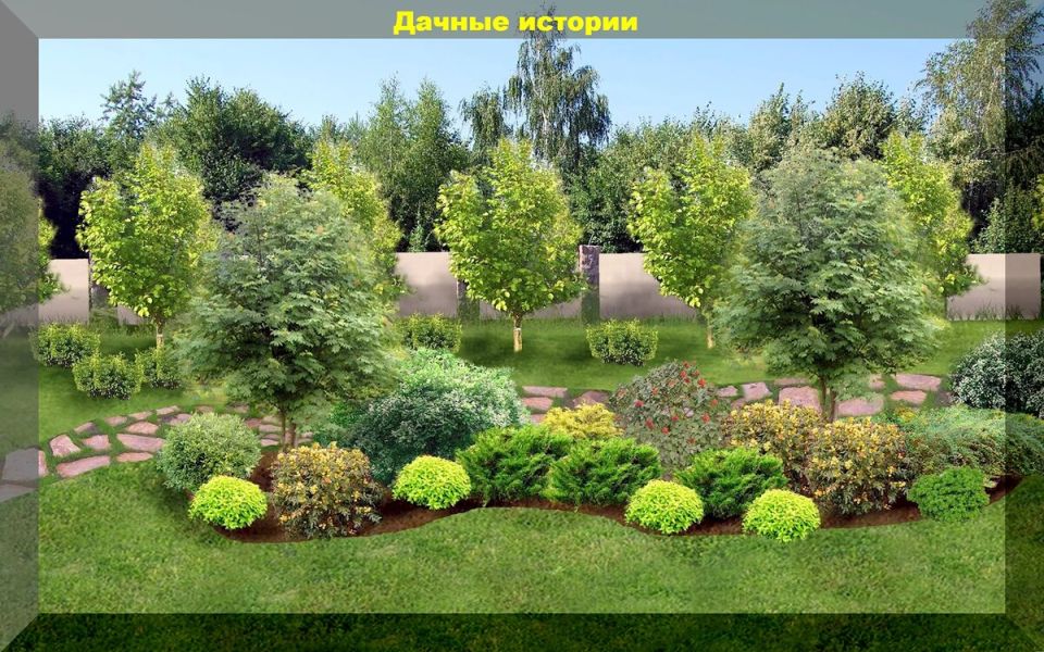 Деревья и овощи в саду: какие соседи не подойдут для вашего огорода?