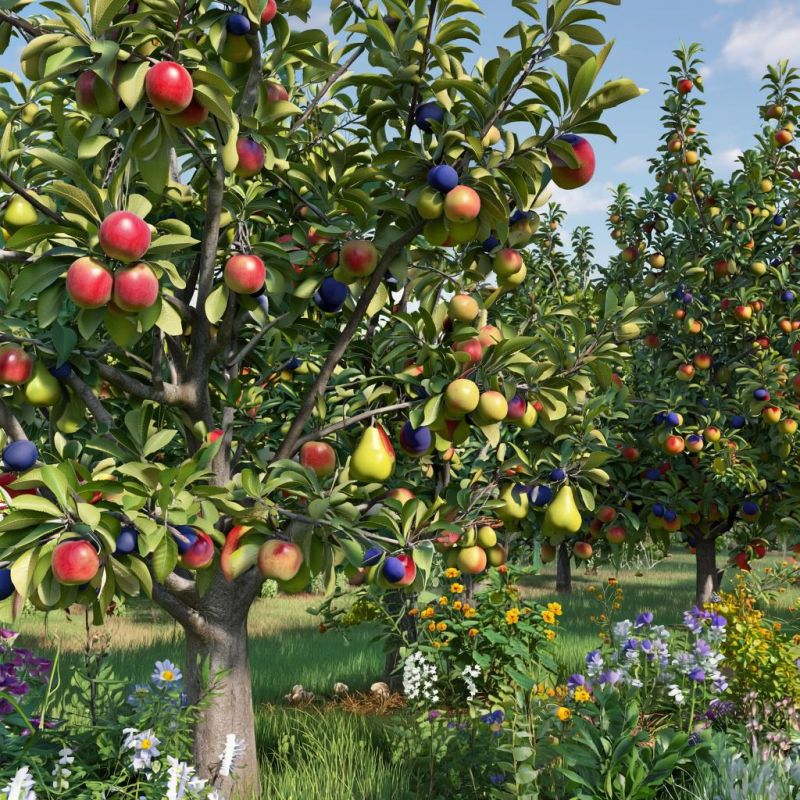 Стрессовое плодоношение: как деревья реагируют на угрозу