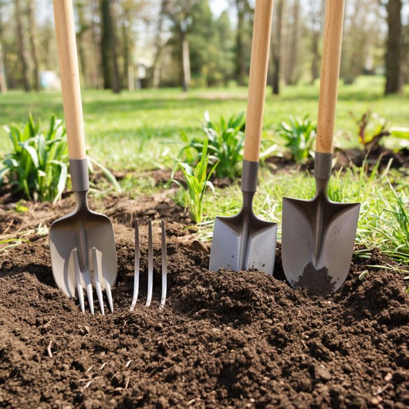 Почему дачнику стоит избавиться от лопаты: переосмысляем подход к земледелию