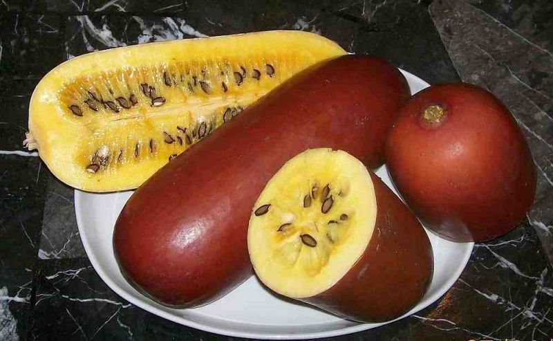 ������������� ������: ��������� ����� ��� ��������