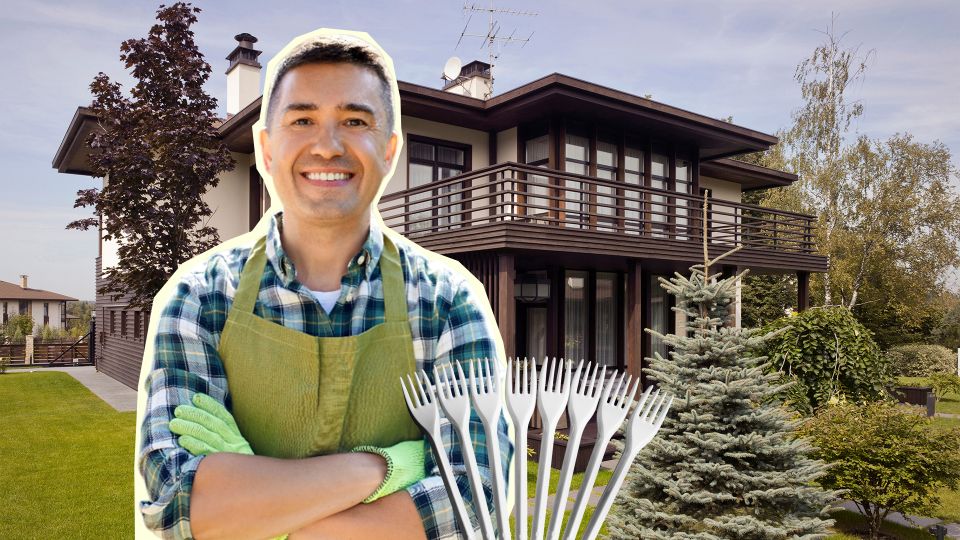 ��� ����� �������� �������� ����������� ����� ����������: ��� ���������� �� ����