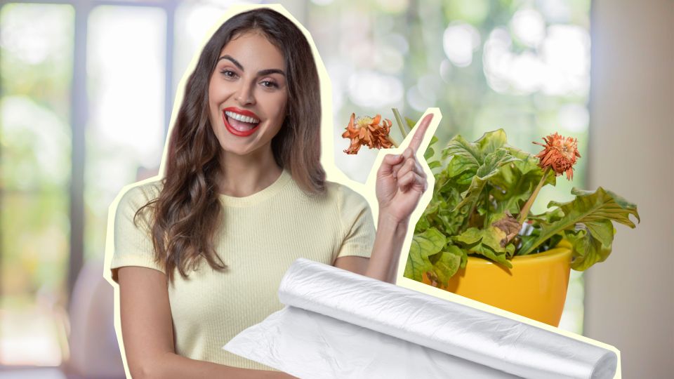 ������� ������ �������������� ������: ������ ���� � �������