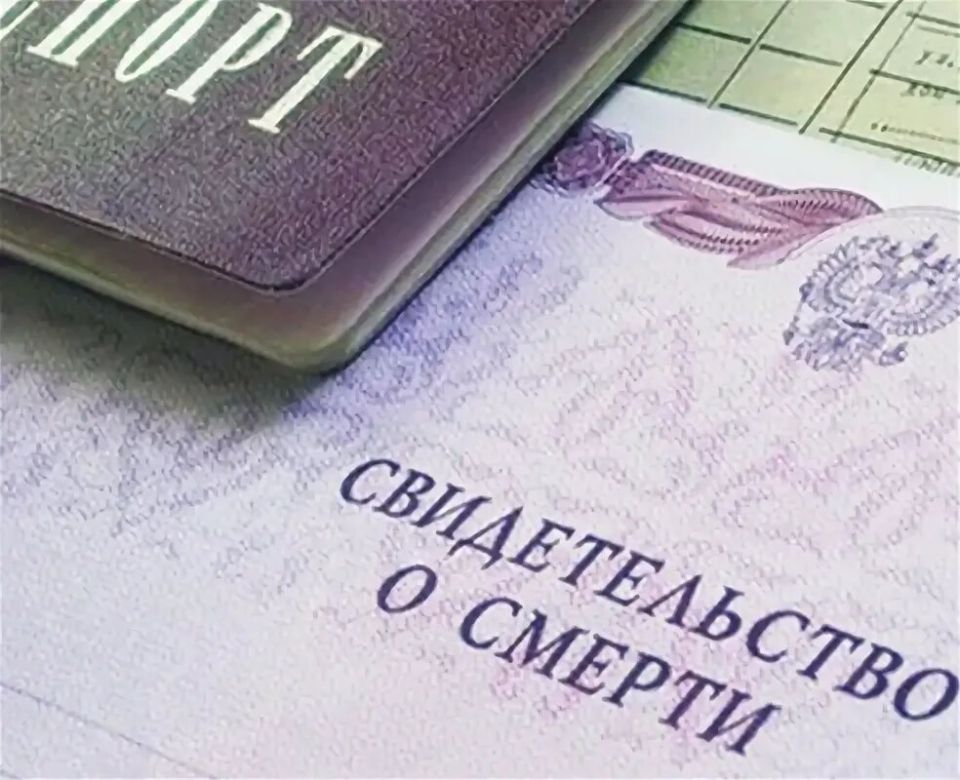 ��� �������� ����������� ������: ����� ������� 2026 ����