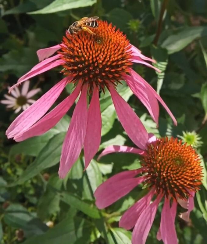 ��������� ��� 2026: ��� �������� ����� ���������� � ����� ������