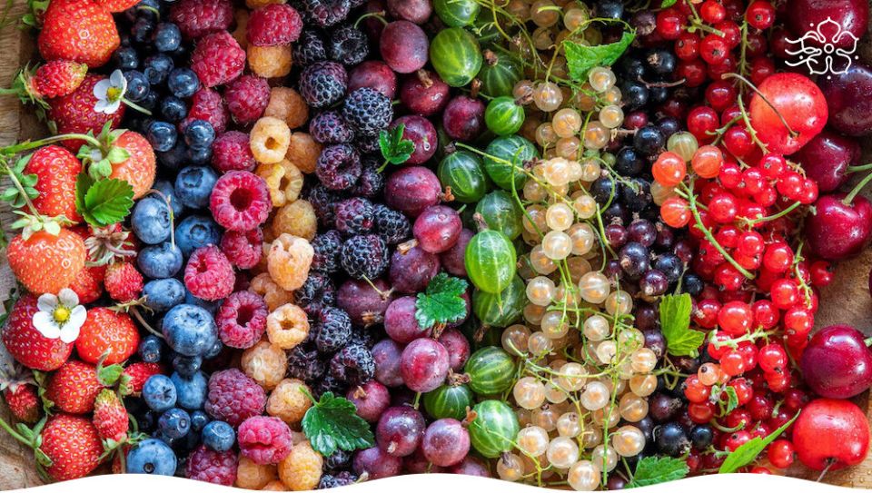 ��������� ����� ��� ������ ����: �������� ����� ��������� ������� ������