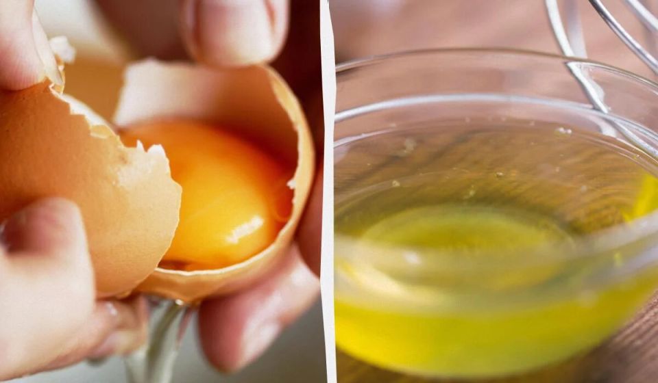 ������� ����: ��� ������� ������ � �����?