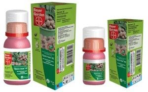 ������ � ����������� �����: ������������� ��������� 