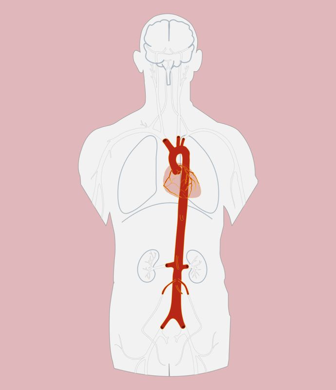 ������������ ���������: ��� ������� ��������� ������������� ������ ����������