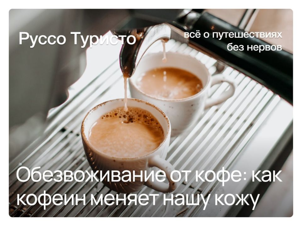 �������� �����: ������� ����� ����� ������ ��� ����� ��� ����?