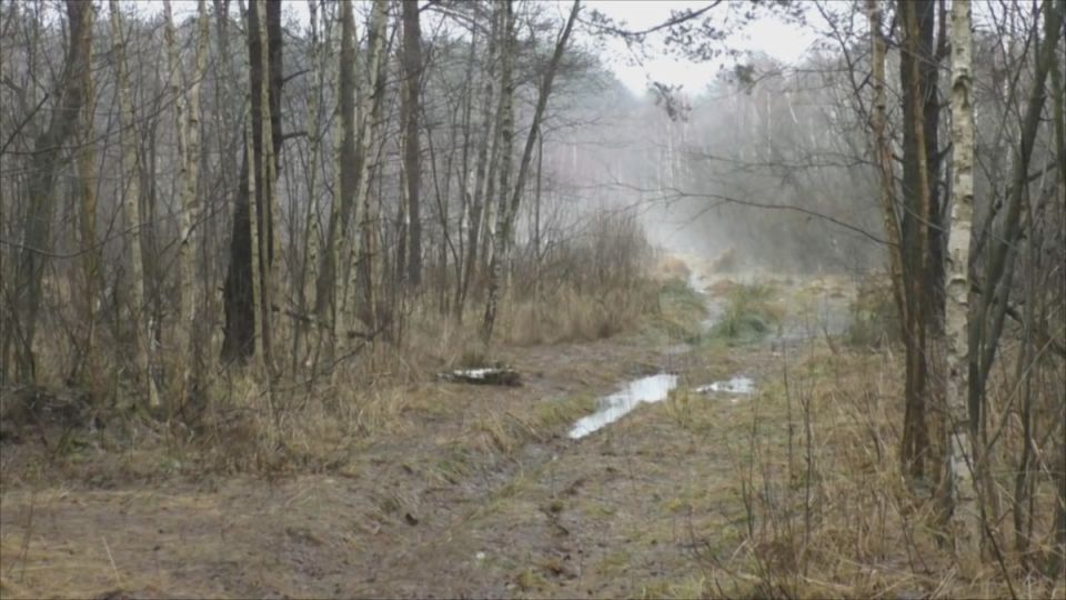 ��������� ������ ������� �����: ��� ����� ����� � �������