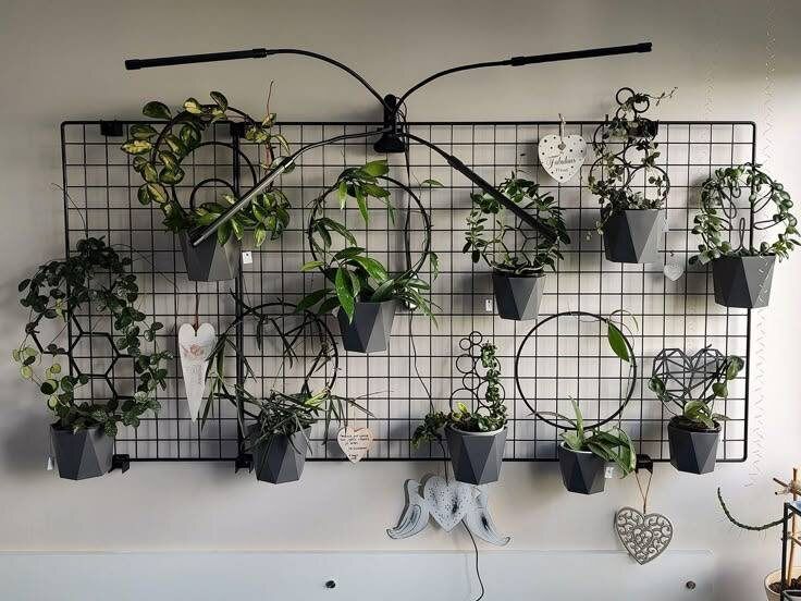 ��������� ���������� ��������� ��������: ���������� ������� � ����������