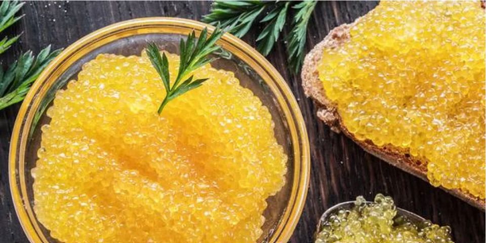 ��� ����� ����� ����