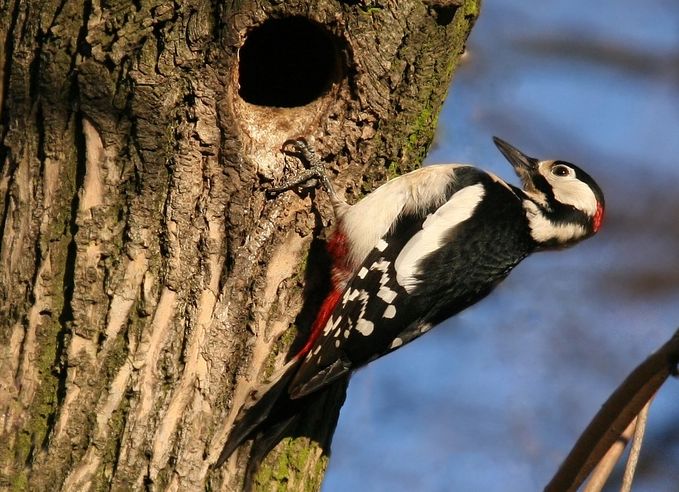 �� ���� ������� ����� � ��������?