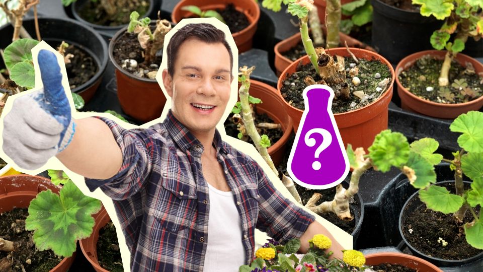 ������� ����� ����� � ��� �����: ������ �������� � ���� ��� �������� ��������