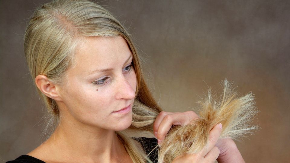 Блонд цвета красного дерева: назван идеальный тон для блондинок и брюнеток