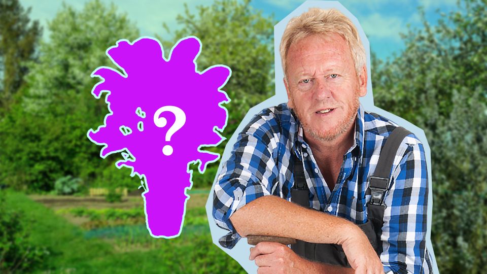 �������� �� ���� ����� �� ������� ��� � ��������: ������, ����� �����, �� ��������