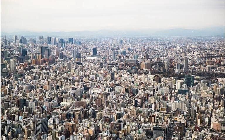 Как вертикальные фермы меняют городской ландшафт