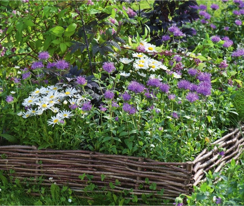 ��� ����������� ���� �������: ������������� ���� ��� ��������� � ������