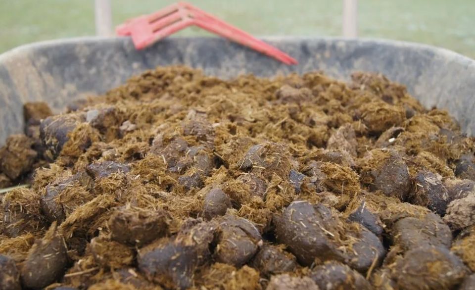 ������ ������ �� ����� ������� ����� � ���? ������� ������ ��������