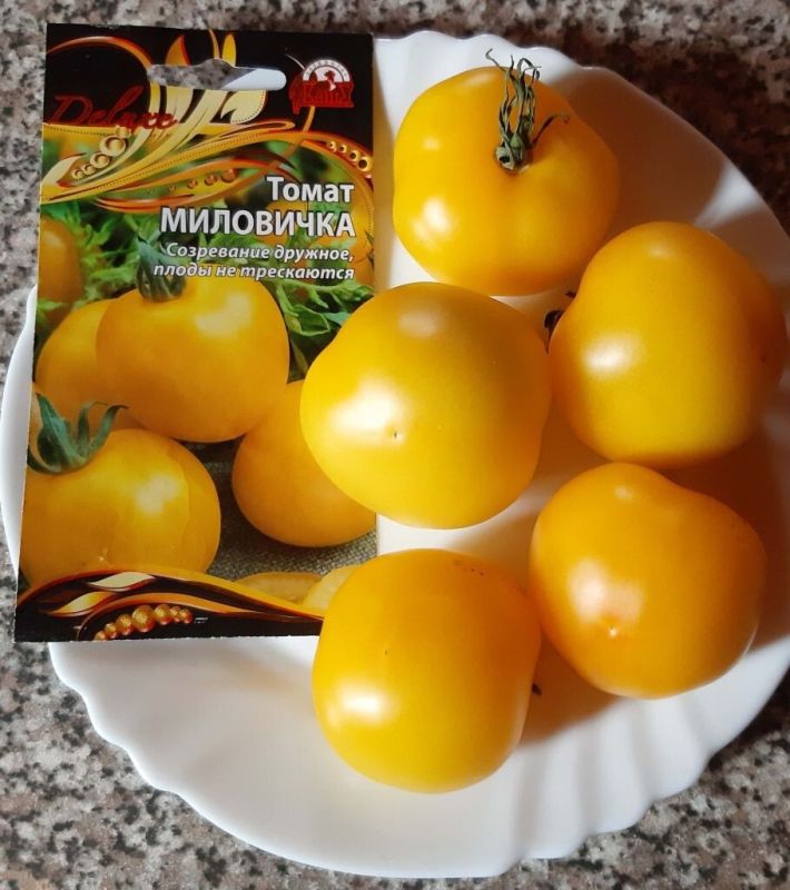 ������ ��� ��������: ��� ������� ���������� �����