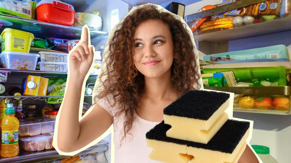 �������� � ��������: ������� ����� ����� ����� ��������� ������� � �������������