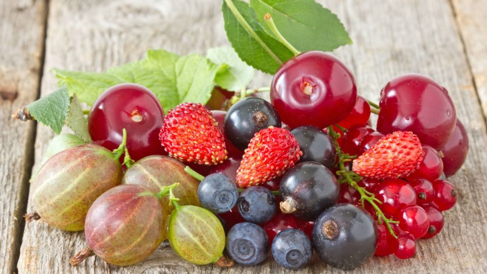 ��� 3 ����� �� ��� ������ ��� ���������: ����� ��������� � �������� � ������