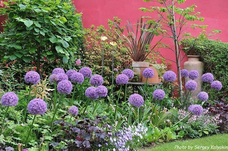 ���� ��� ����, ������� �����������: �� �������� ����